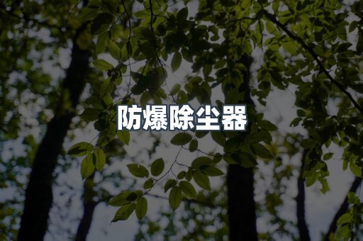 防爆除尘器